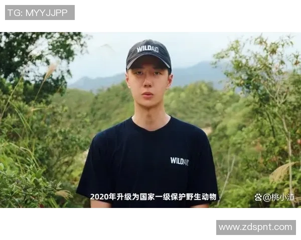 北京篮球队的蜕变之路：从青涩新秀到大师赛的强者之路