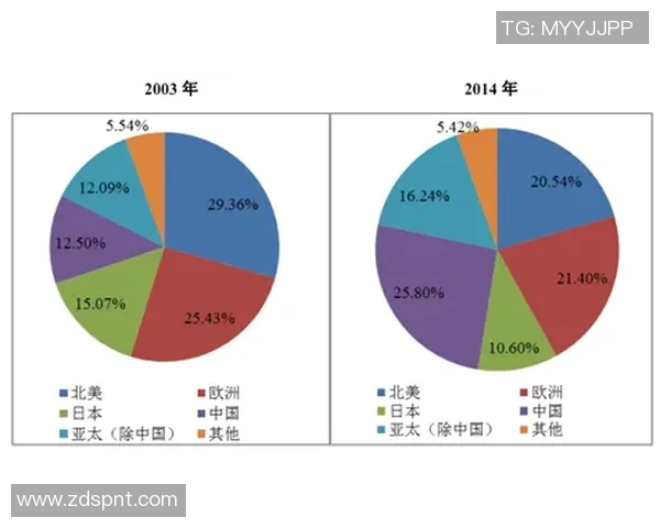 武汉极限运动队的节奏探讨与发展前景分析