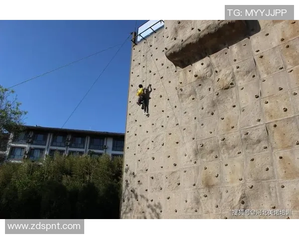 科学攀岩比赛经验与训练方法的全面解析与实用指南